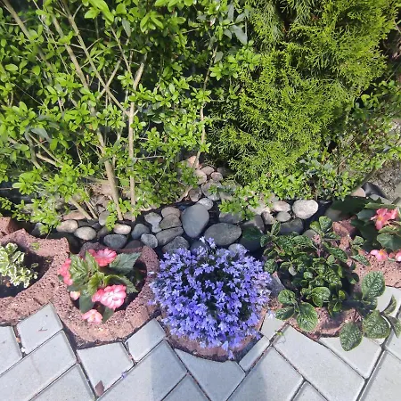 Ubytovanie Na Zigmund šachte ,apartmán S Terasou