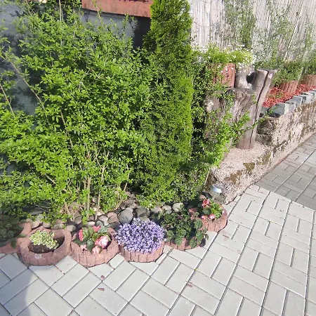 Ubytovanie Na Zigmund šachte ,apartmán S Terasou Banská Štiavnica
